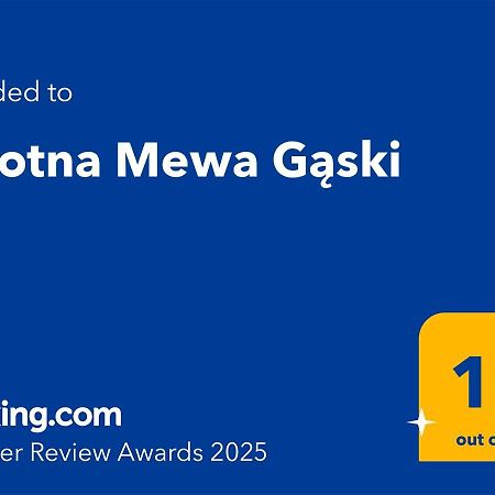 Zalotna Mewa Gaski Exteriör bild